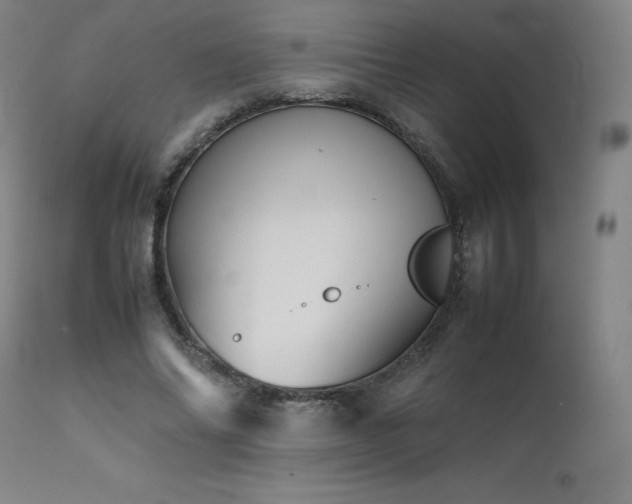 X0000111470686200907131519