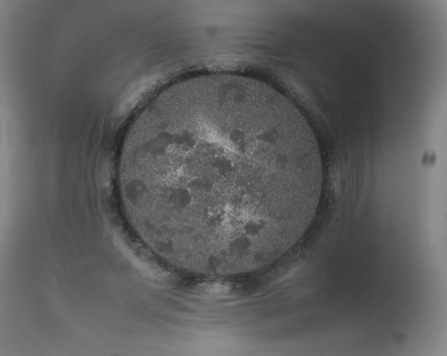 X0000111470687200907131519
