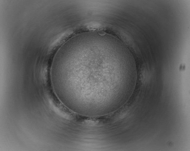 X0000111470690200907131519