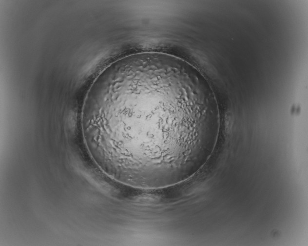 X0000111470691200907131519