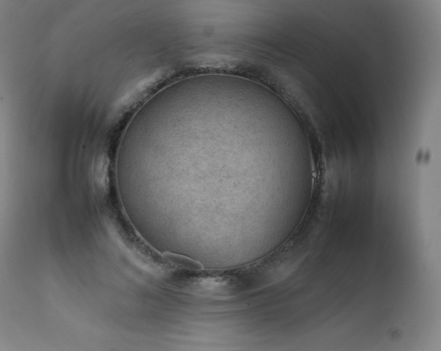X0000111470692200907131519
