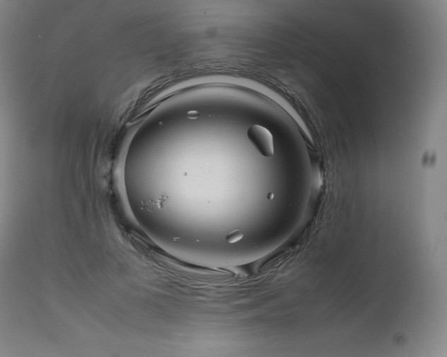 X0000111470693200907131518