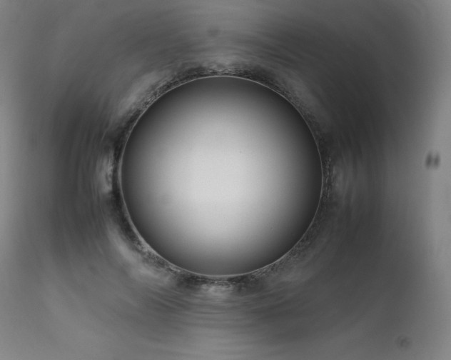 X0000111470694200907131518
