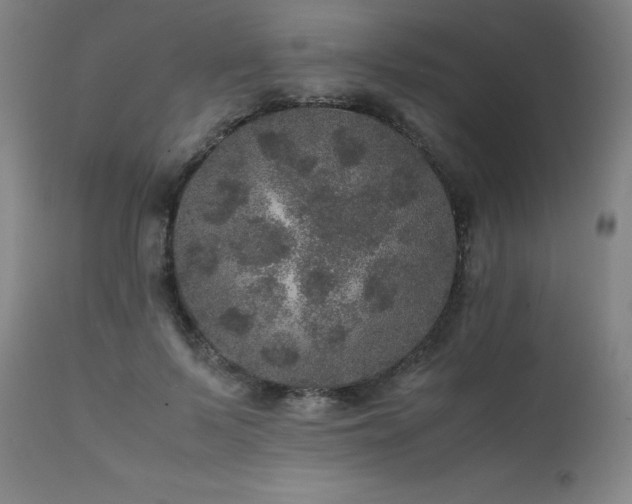 X0000111470695200907131518