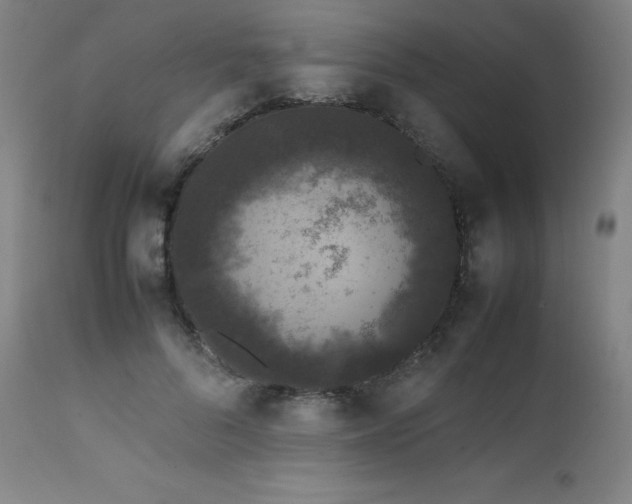 X0000111470696200907131518