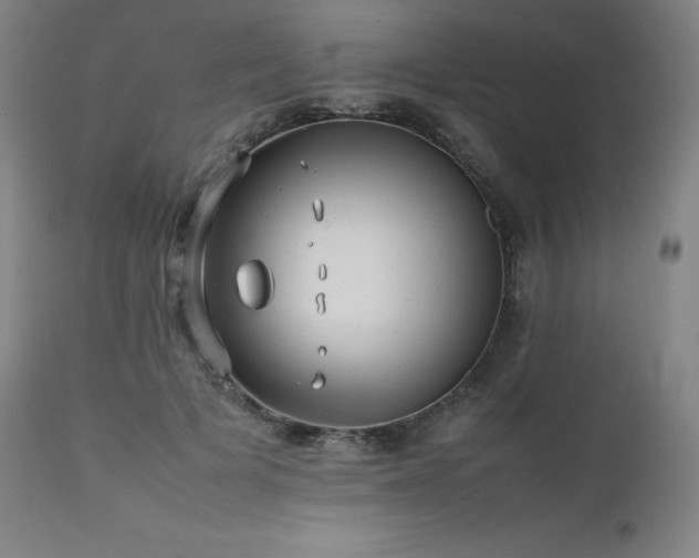 X0000111470697200907131518