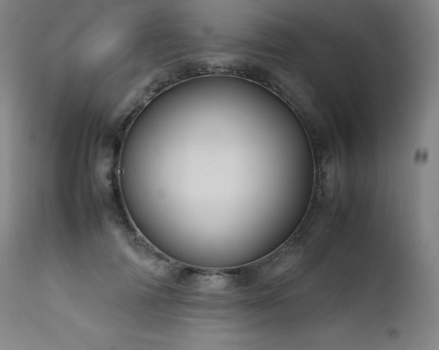 X0000111470698200907131518