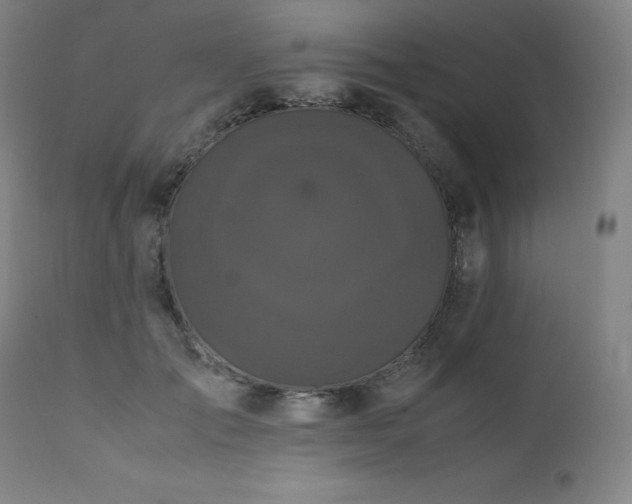 X0000111470701200907131518