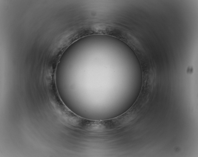 X0000111470702200907131518