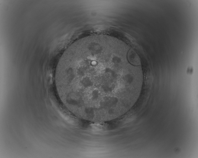 X0000111470703200907131518