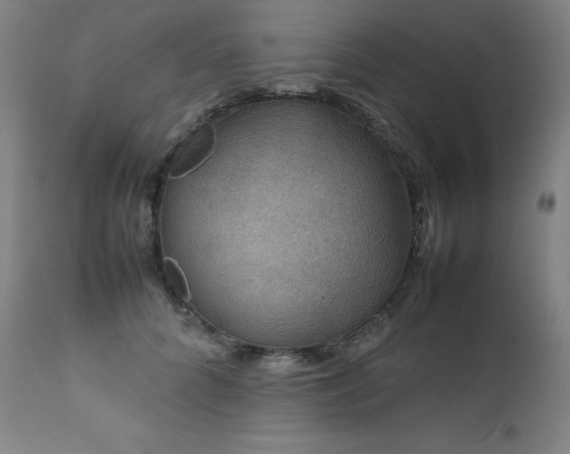X0000111470704200907131518