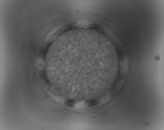 X0000111470705200907131518