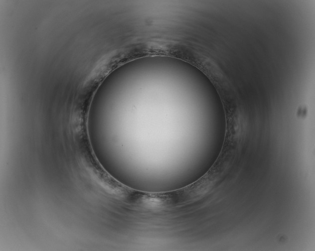 X0000111470706200907131518