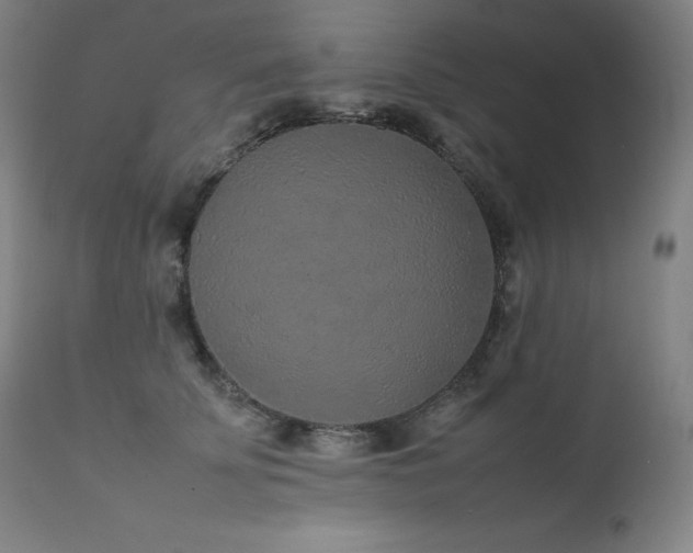 X0000111470707200907131518
