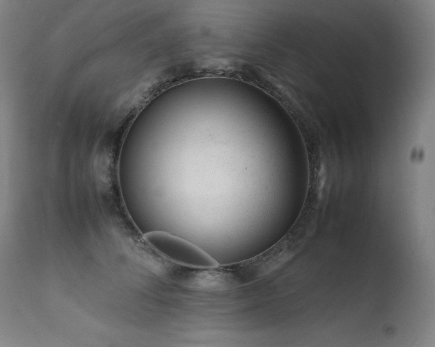 X0000111470708200907131518
