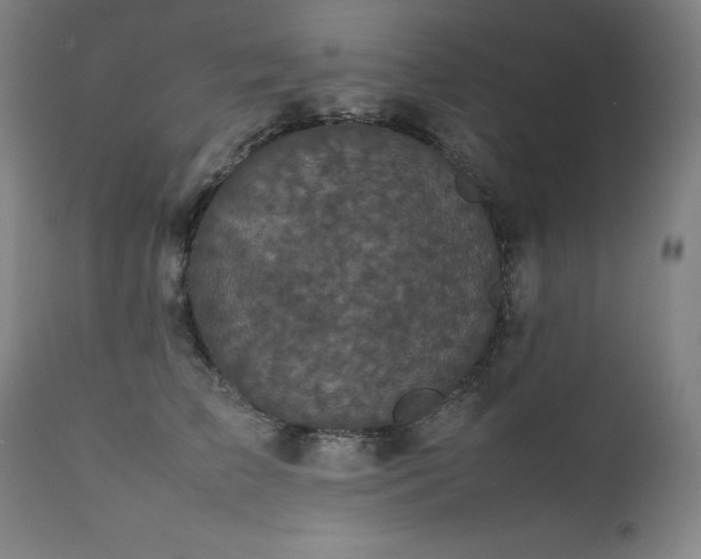 X0000111470709200907131518