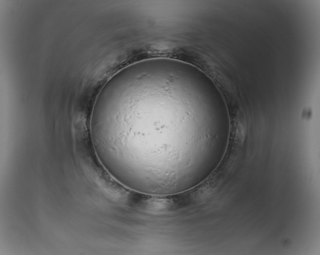 X0000111470711200907131518