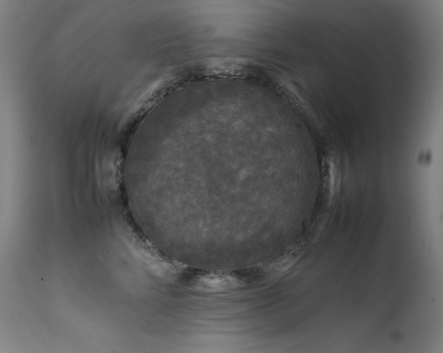 X0000111470712200907131518