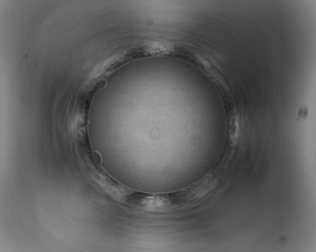 X0000111470714200907131518