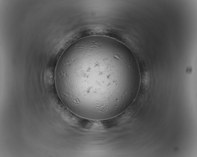 X0000111470715200907131518