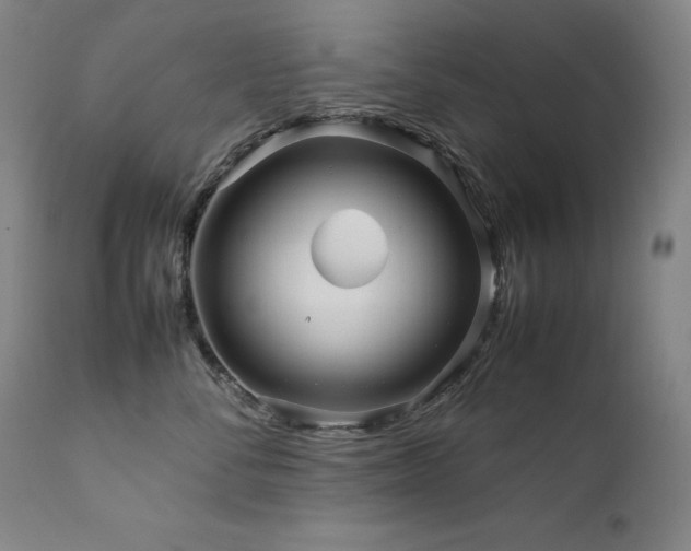 X0000111470716200907131518