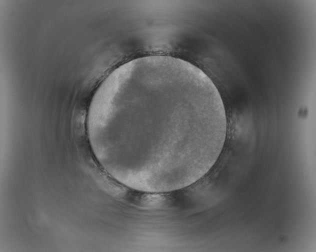 X0000111470717200907131518