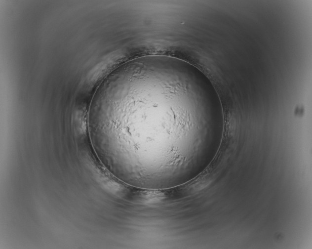 X0000111470719200907131518