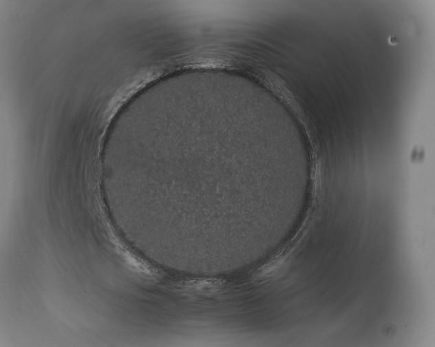 X0000111470721200907131517
