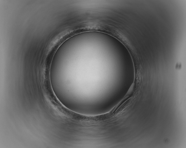 X0000111470722200907131517