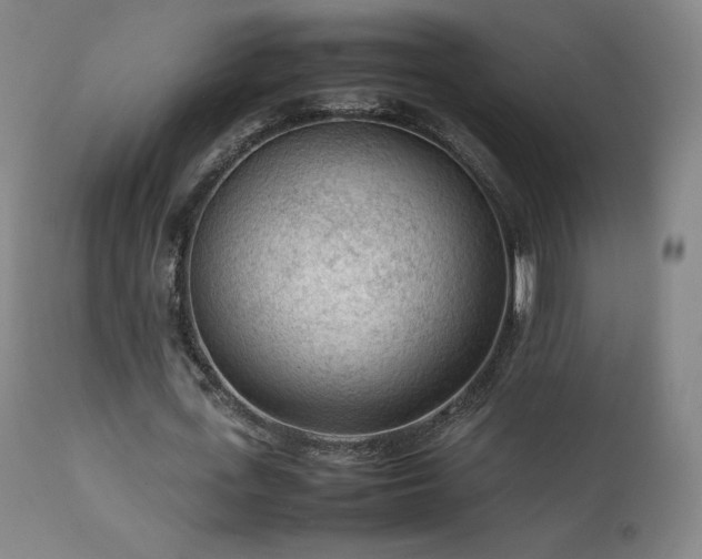 X0000111470723200907131517