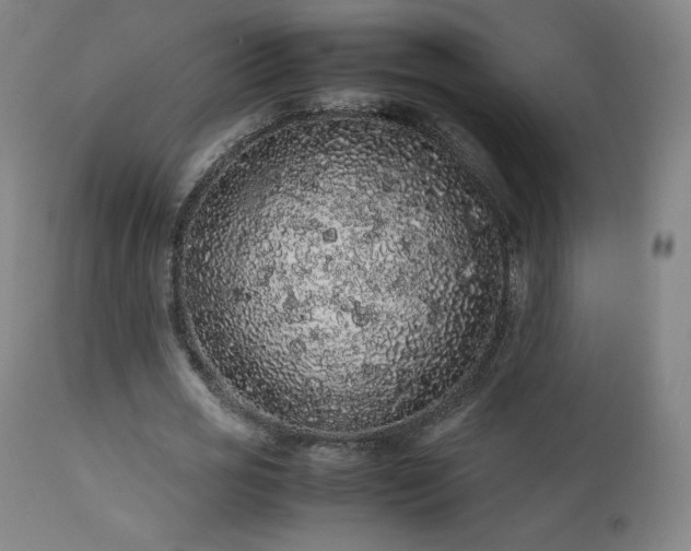 X0000111470725200907131518