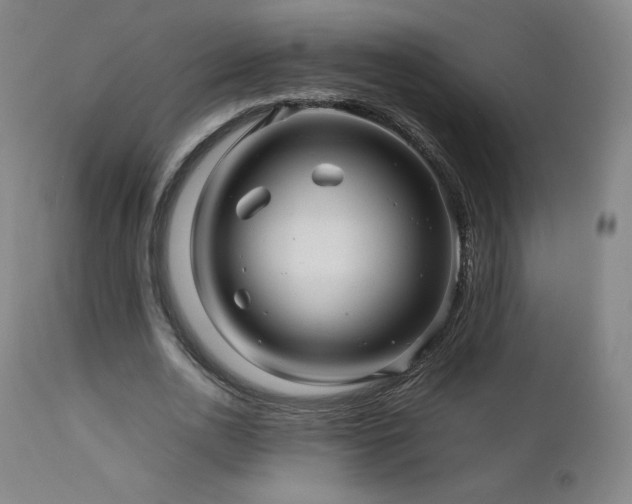 X0000111470726200907131518