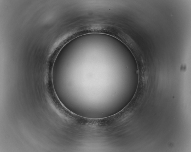 X0000111470728200907131518