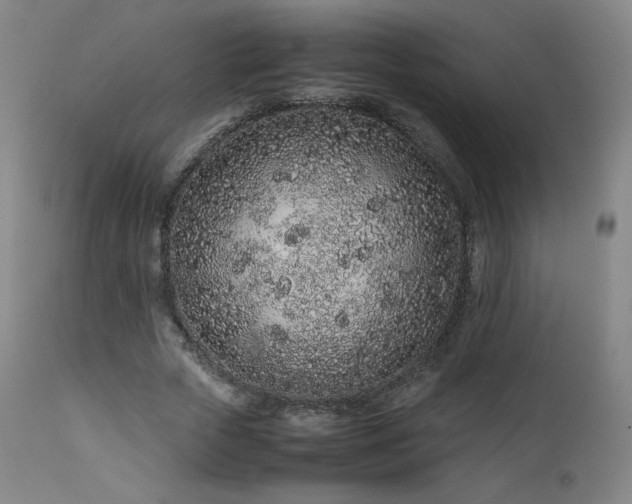 X0000111470729200907131518