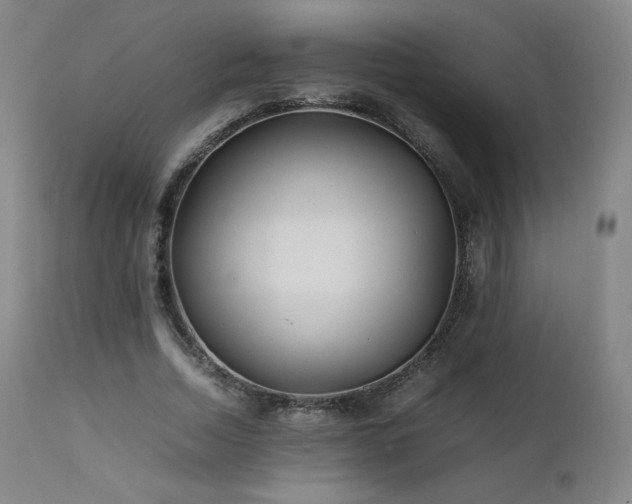 X0000111470730200907131518