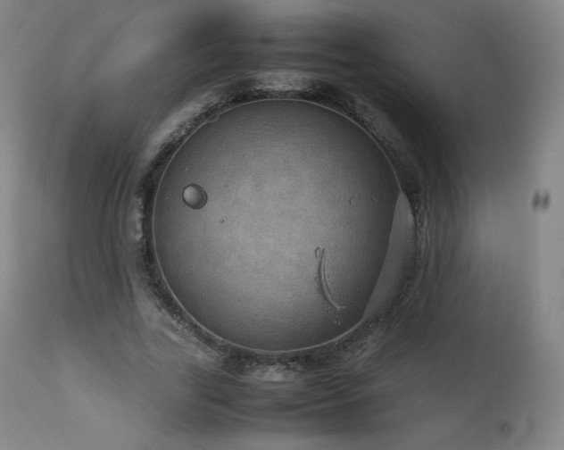 X0000111470731200907131518