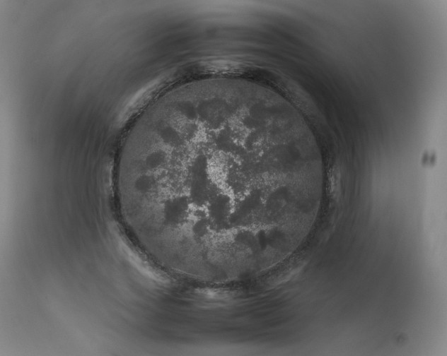 X0000111470733200907131518