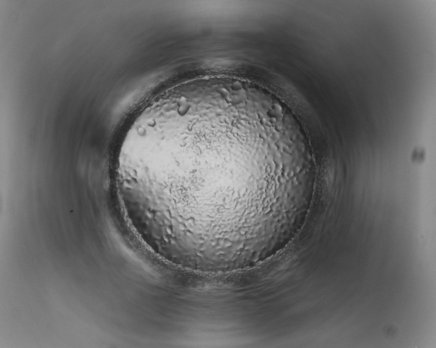 X0000111470734200907131518