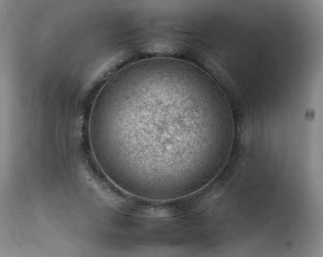 X0000111470735200907131518