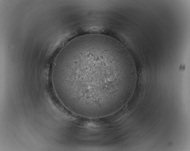 X0000111470739200907131518
