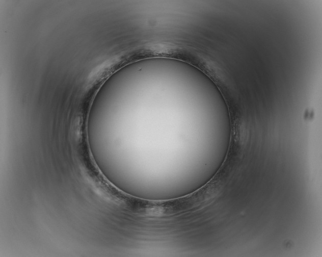 X0000111470740200907131518