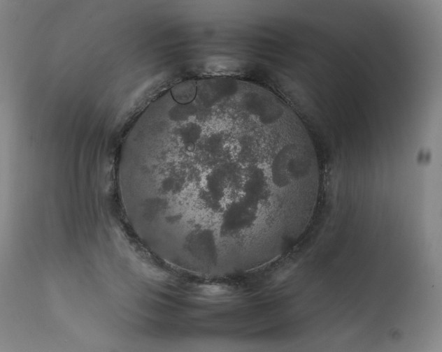 X0000111470741200907131518