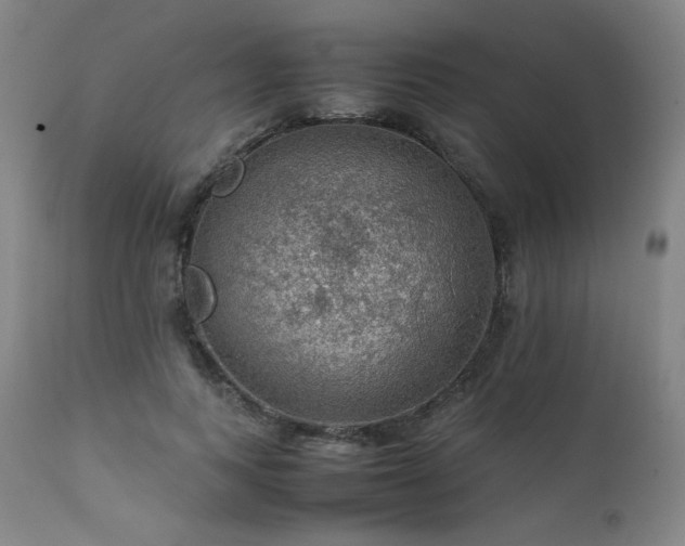 X0000111470743200907131518
