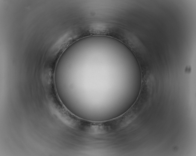 X0000111470744200907131518