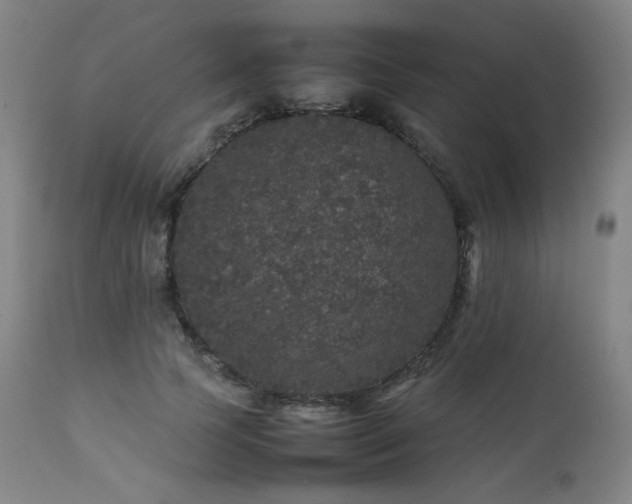 X0000111470745200907131518