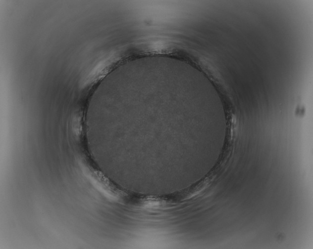 X0000111470746200907131518