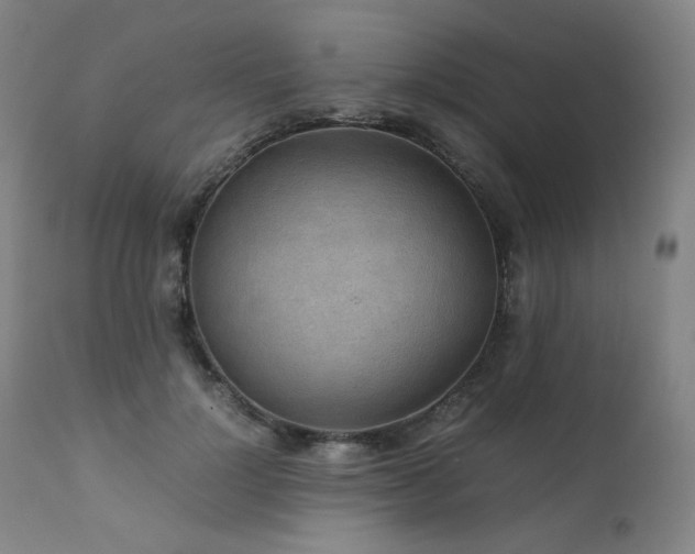 X0000111470748200907131518