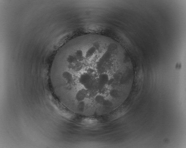 X0000111470749200907131518
