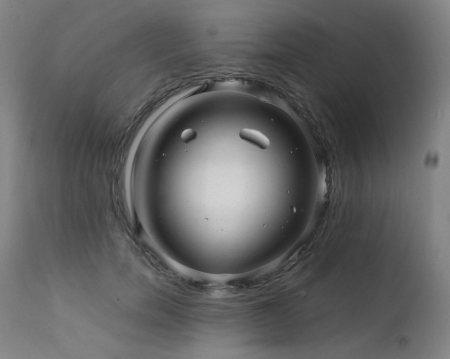 X0000111470750200907131518