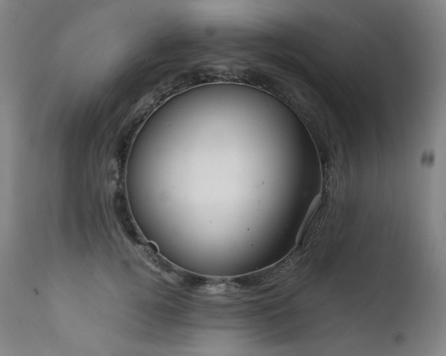 X0000111470752200907131518